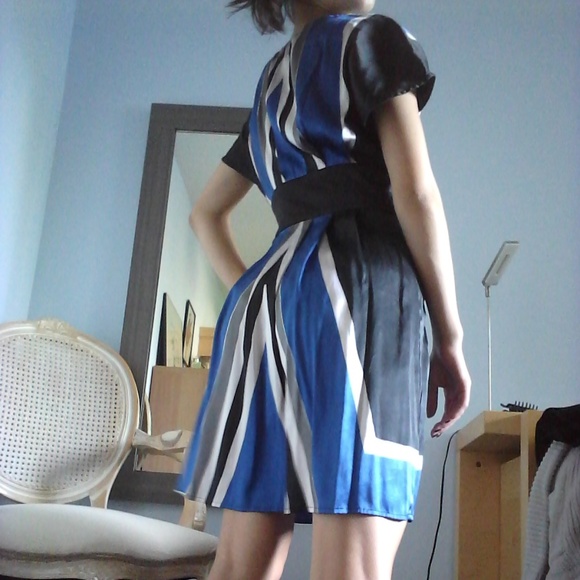 Express Silk Dress - Picture 4 of 6